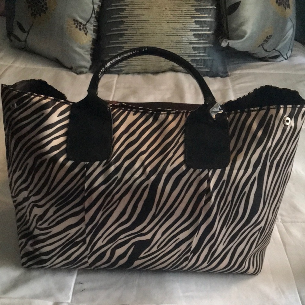 Large nylon tote bag/purse (maybe)